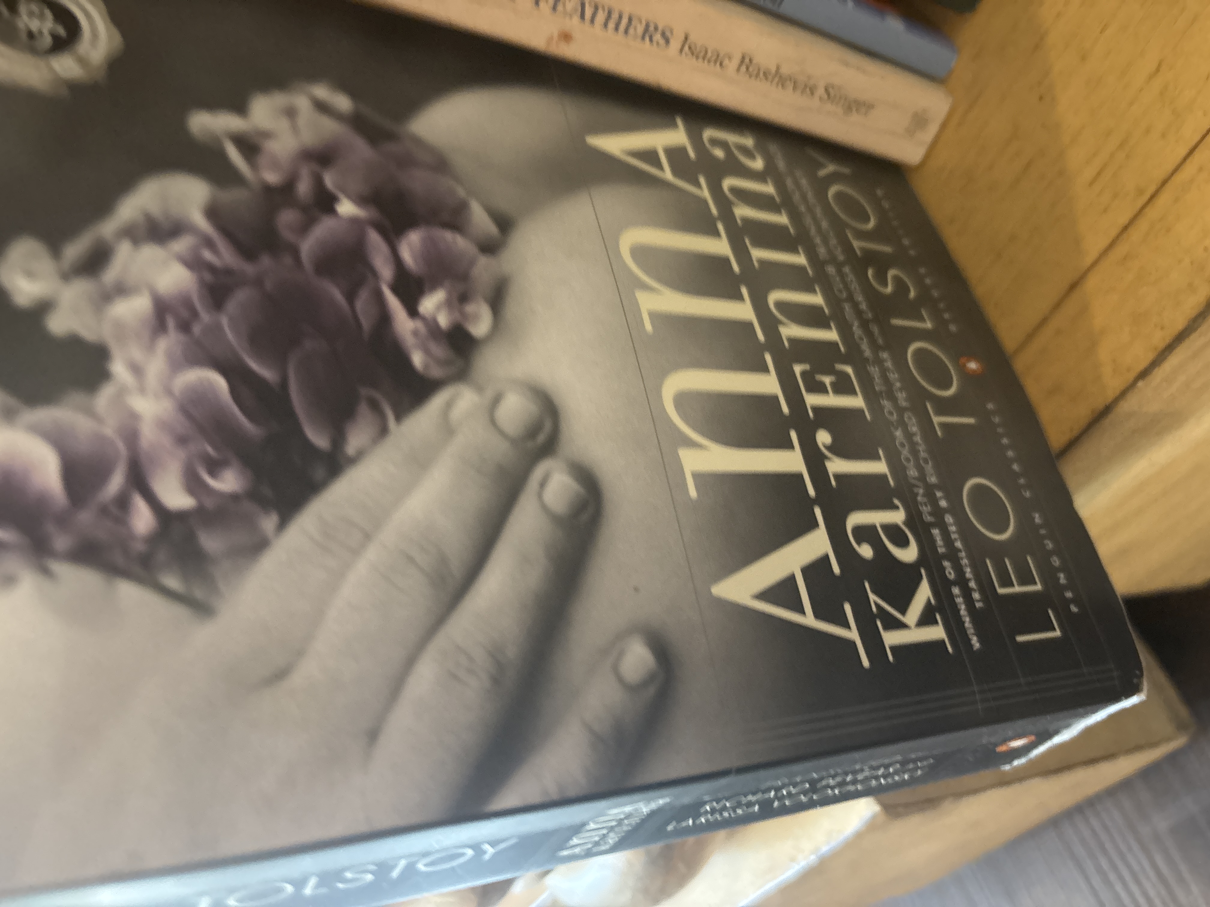 Anna Karenina by Leo Tolstoy