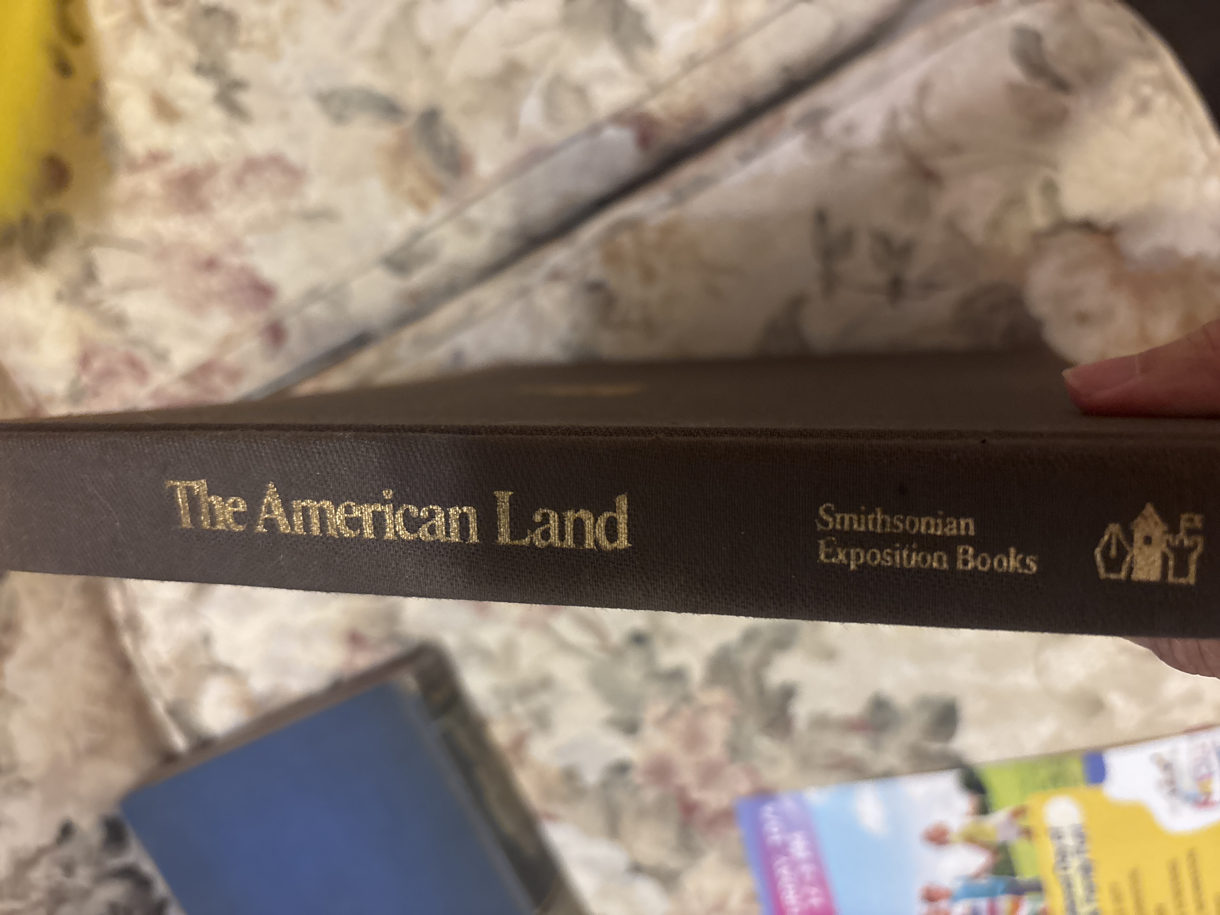 The American Land