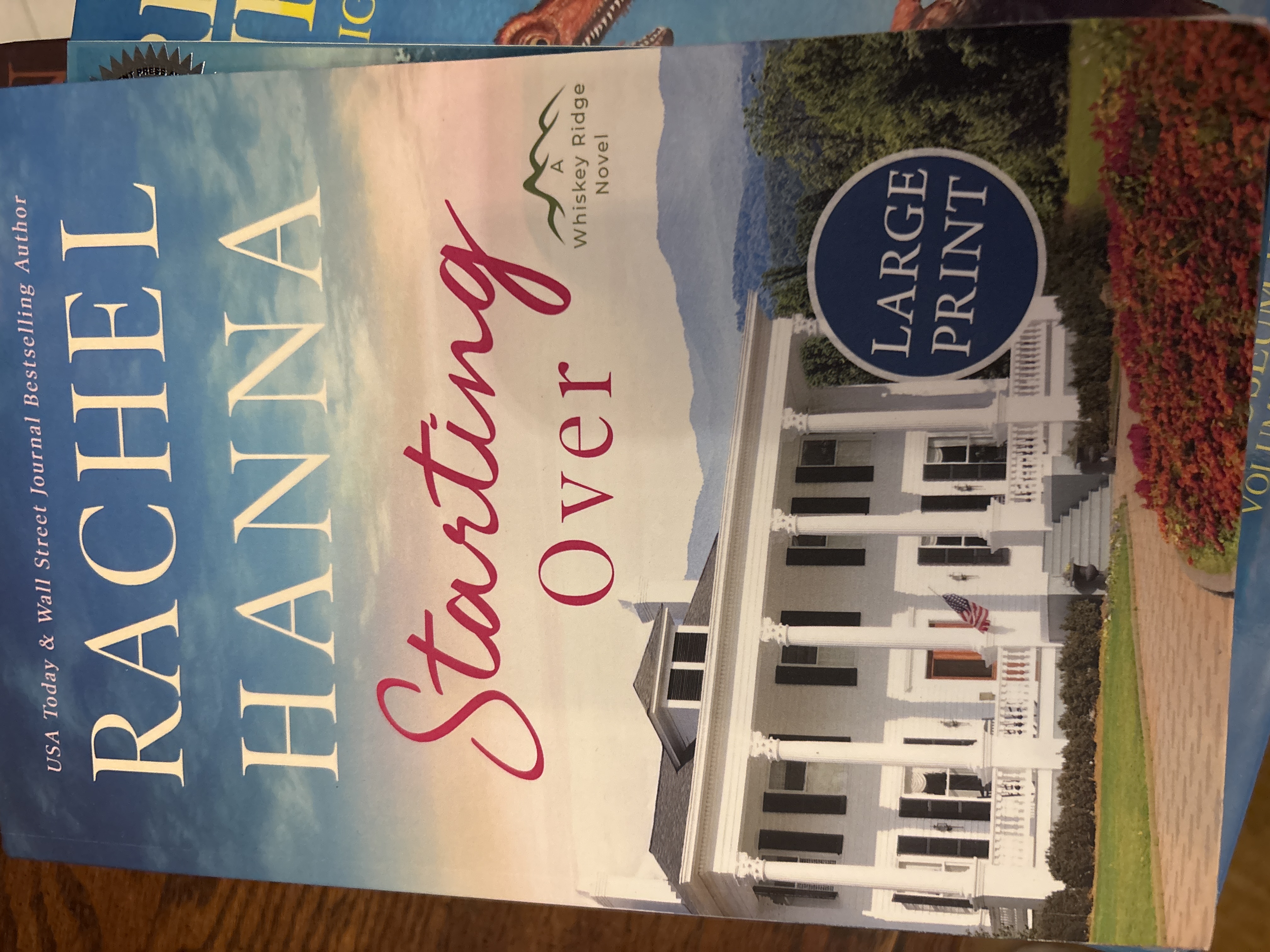 Starting Over by Rachel Hanna