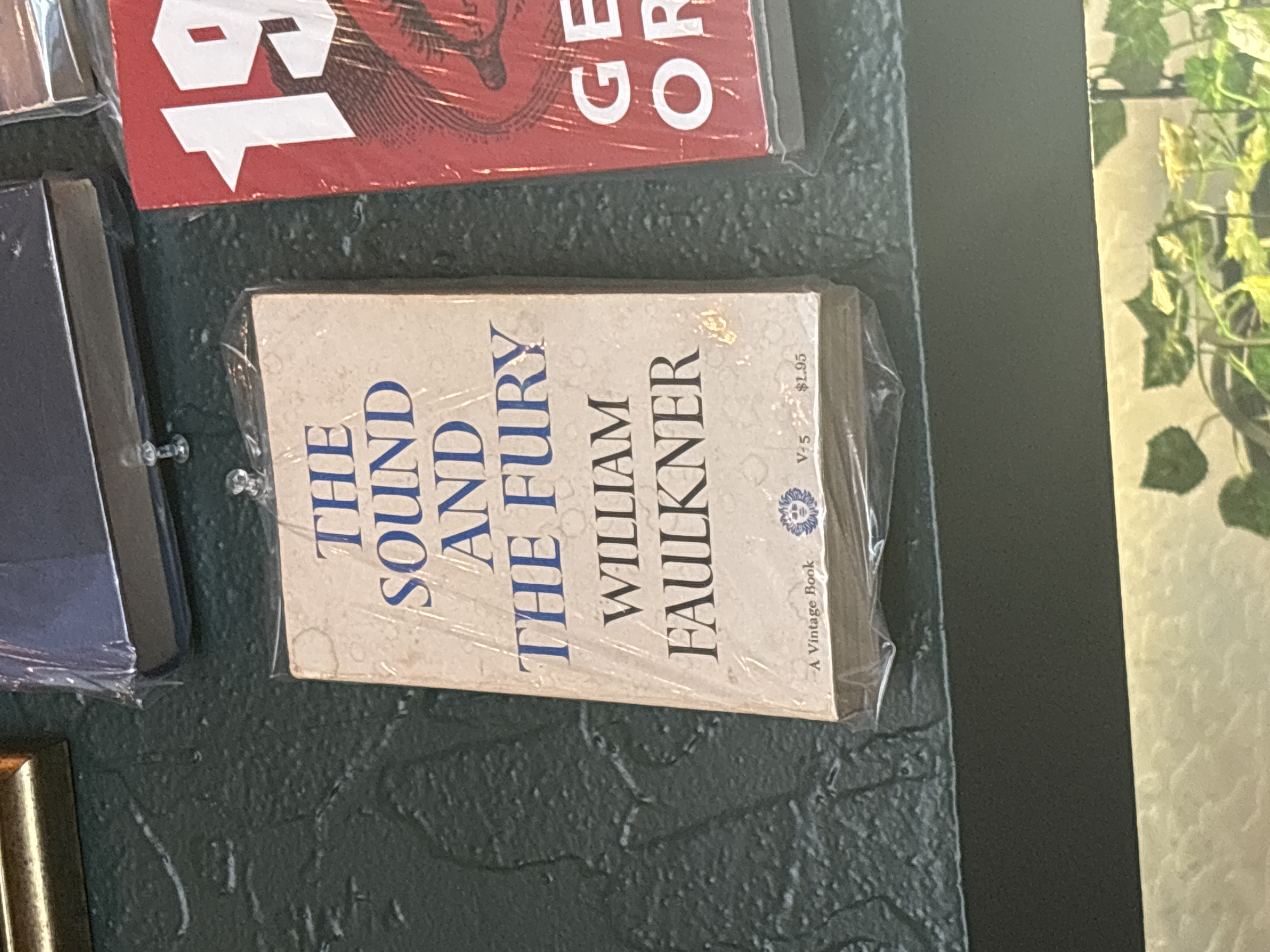 The Sound and the Fury by William Faulkner