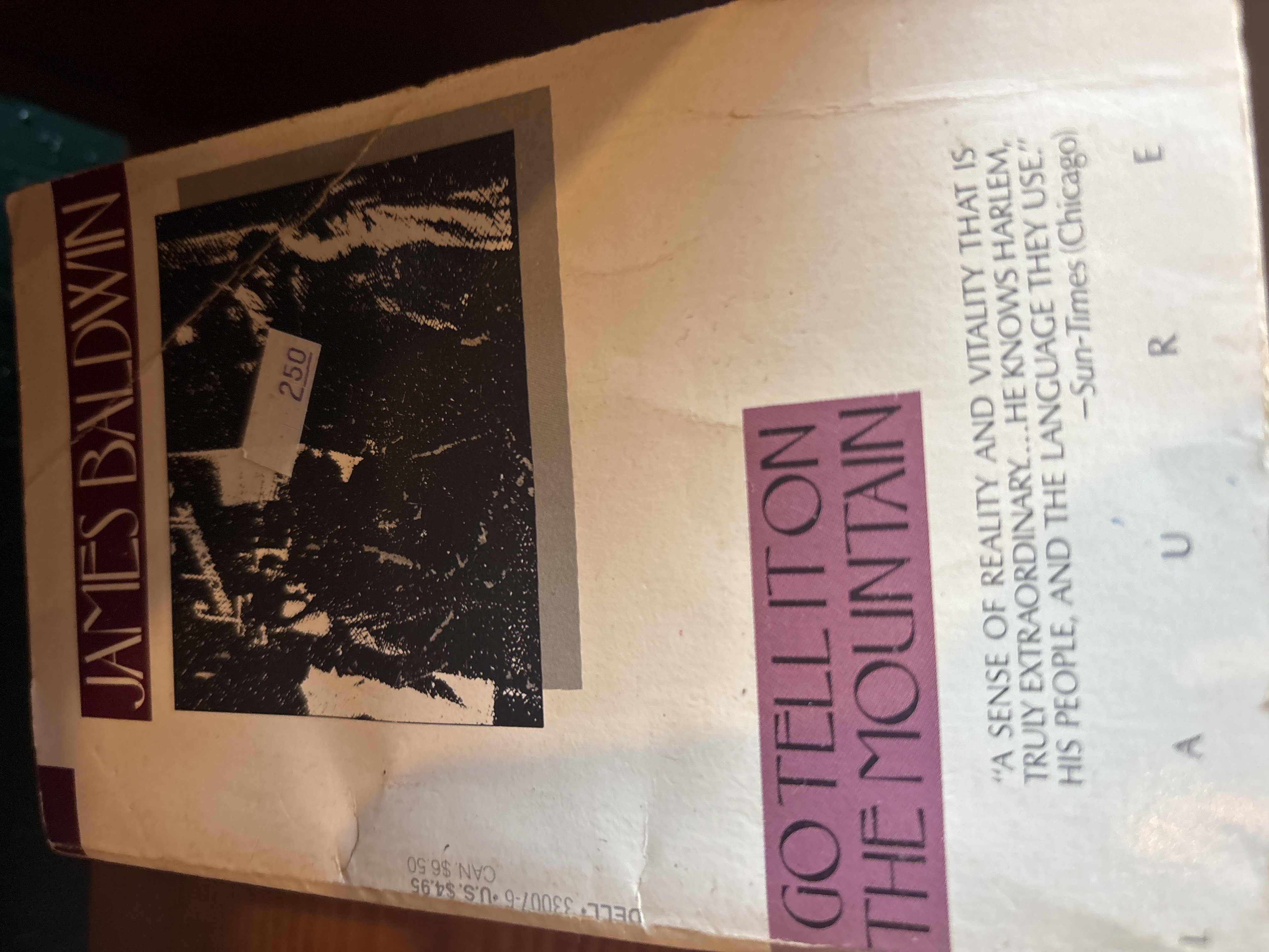 Go Tell It On The Mountain by James Baldwin