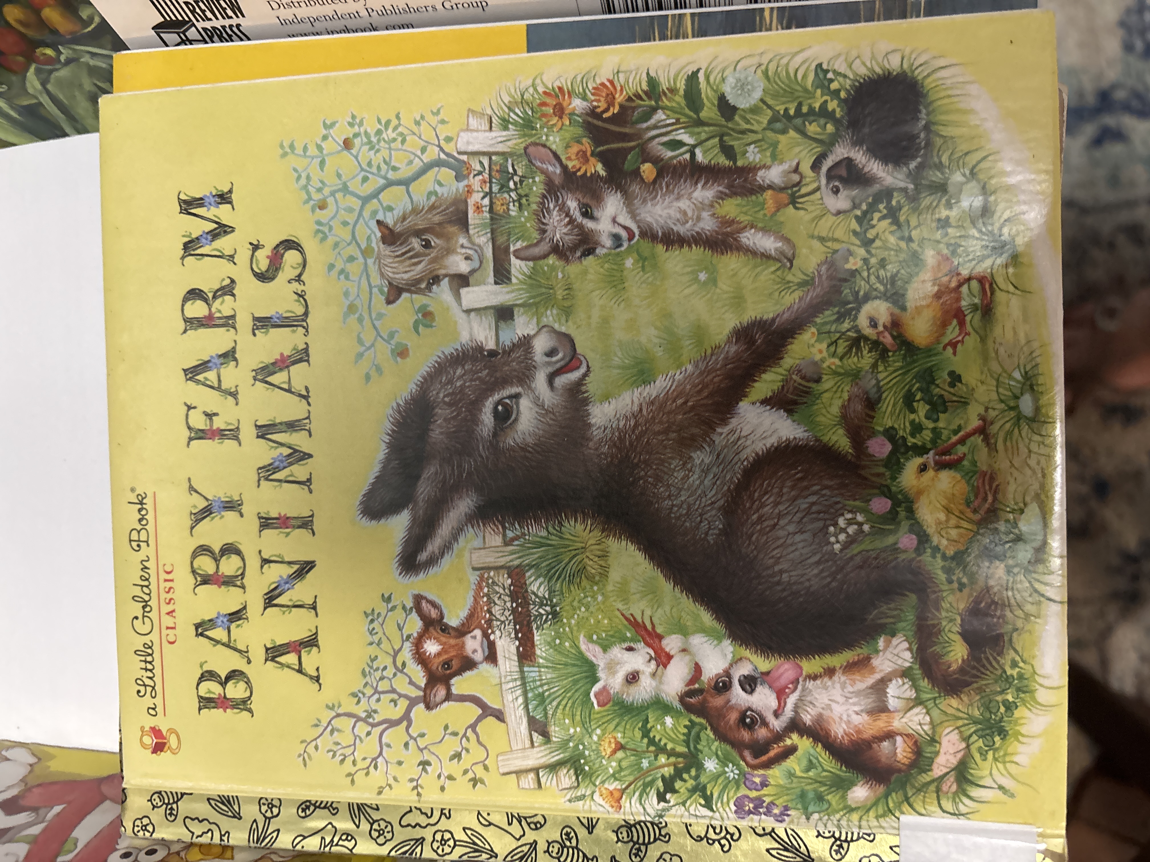 Baby Farm Animals Book