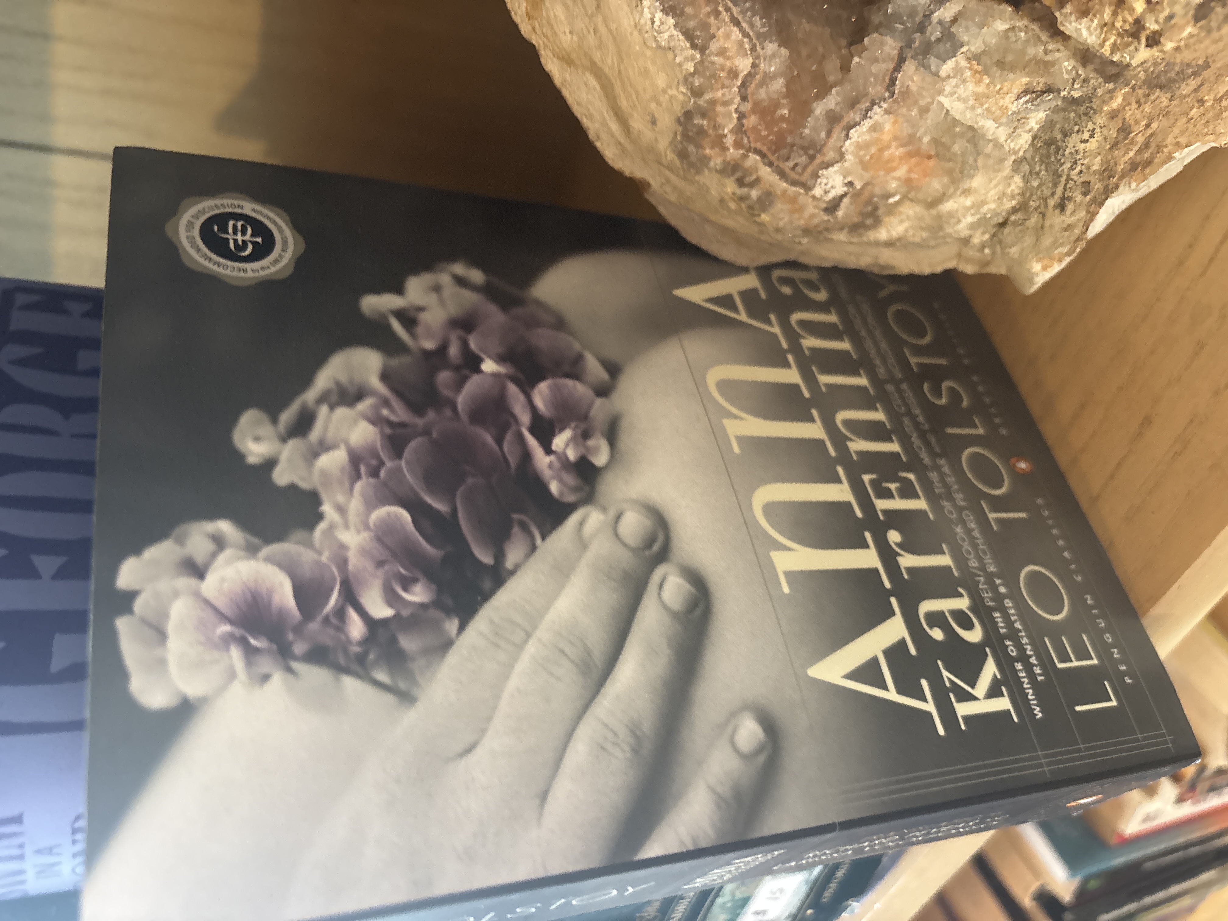 Anna Karenina by Leo Tolstoy