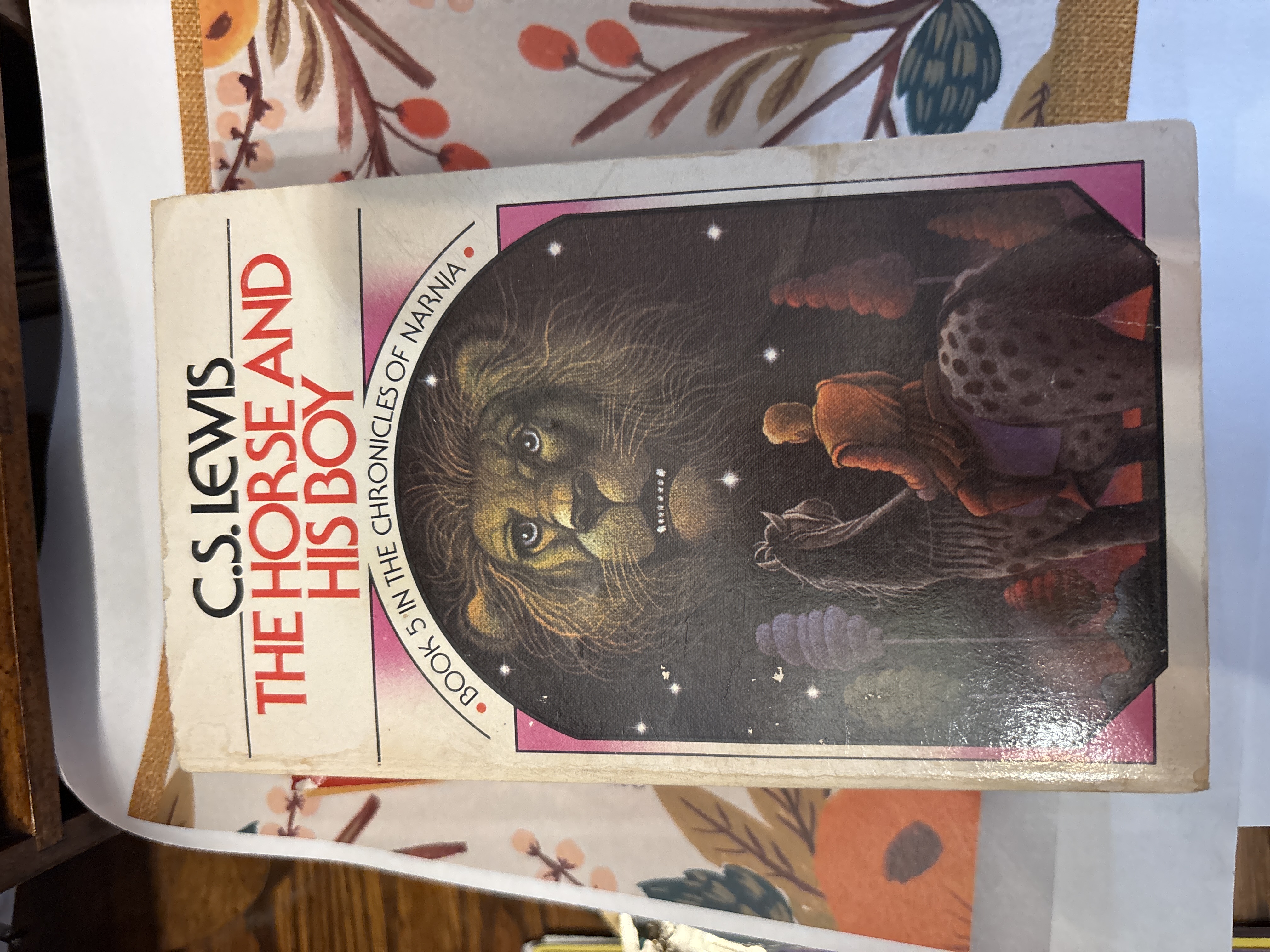 The Horse and His Boy by C.S. Lewis