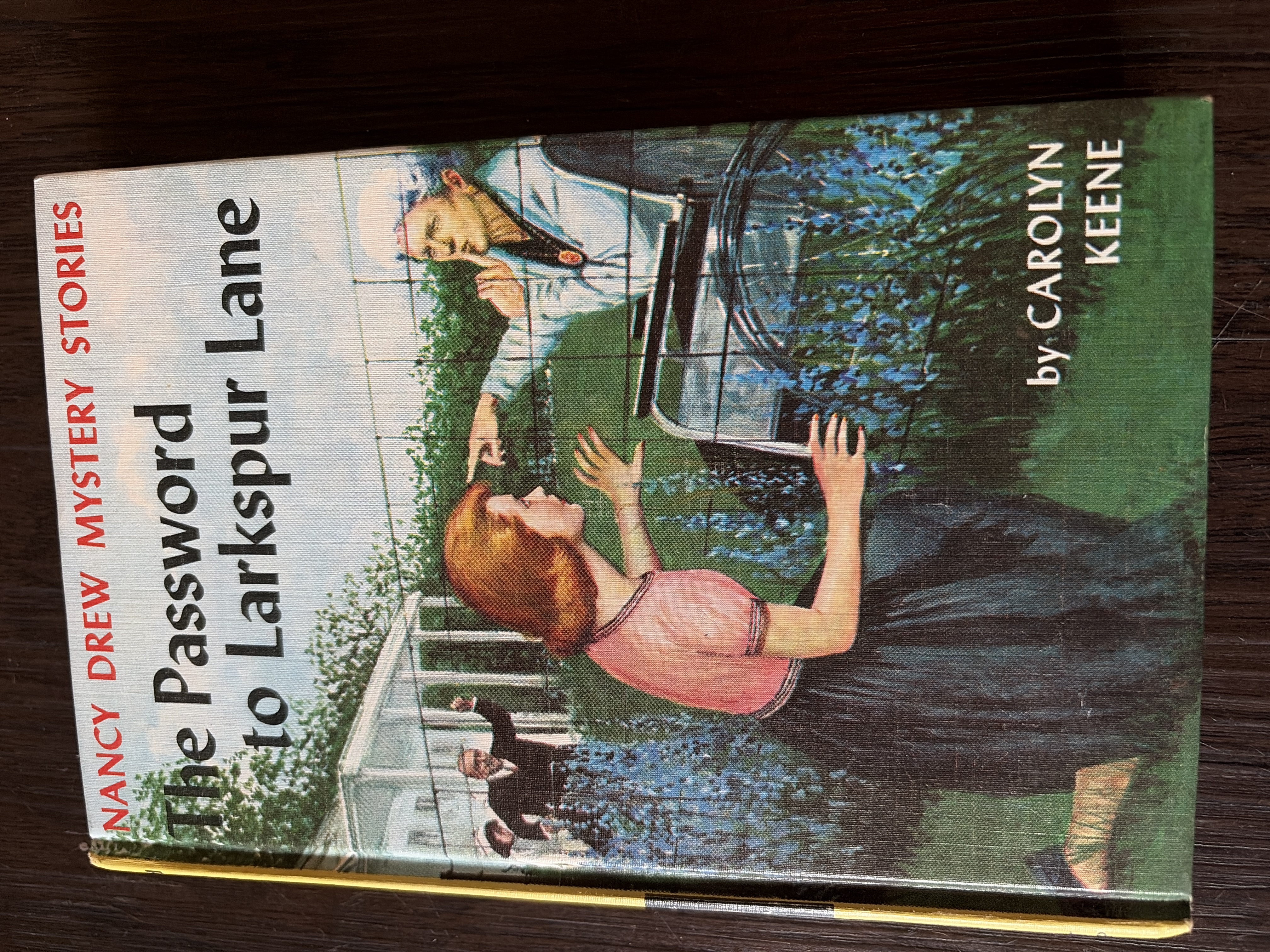 The Password to Larkspur Lane