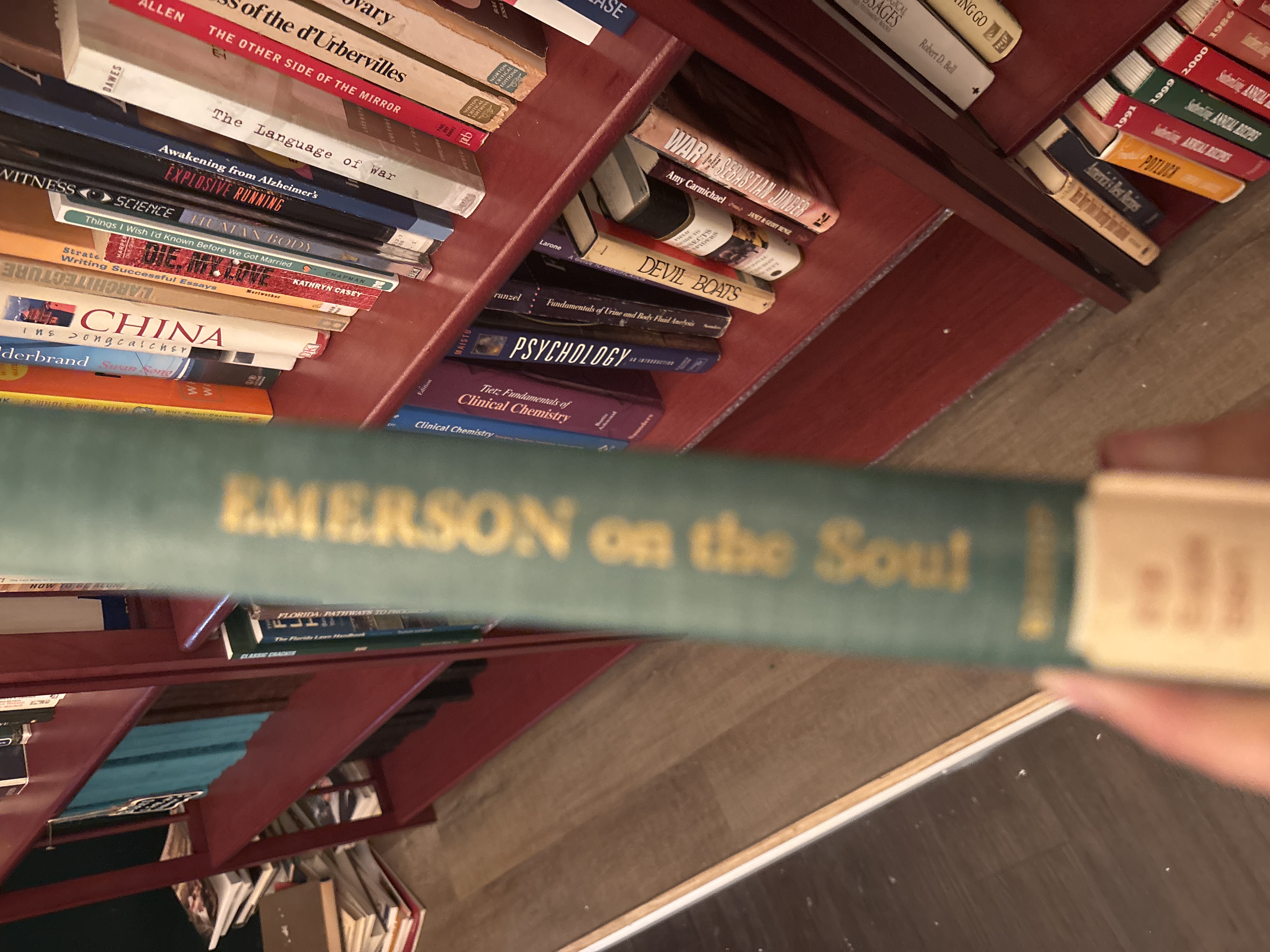 EMERSON on the Soul