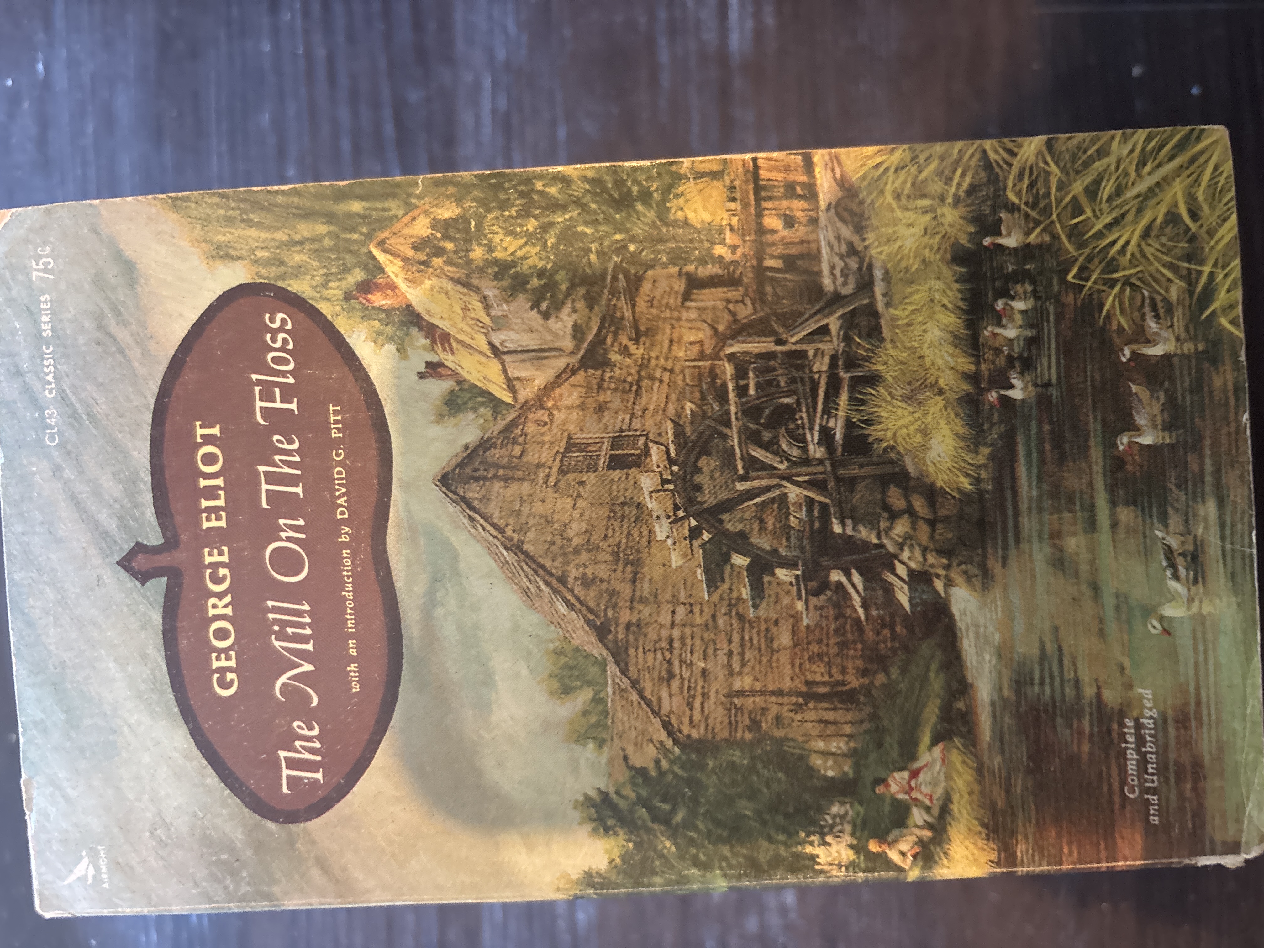 The Mill on the Floss by George Eliot