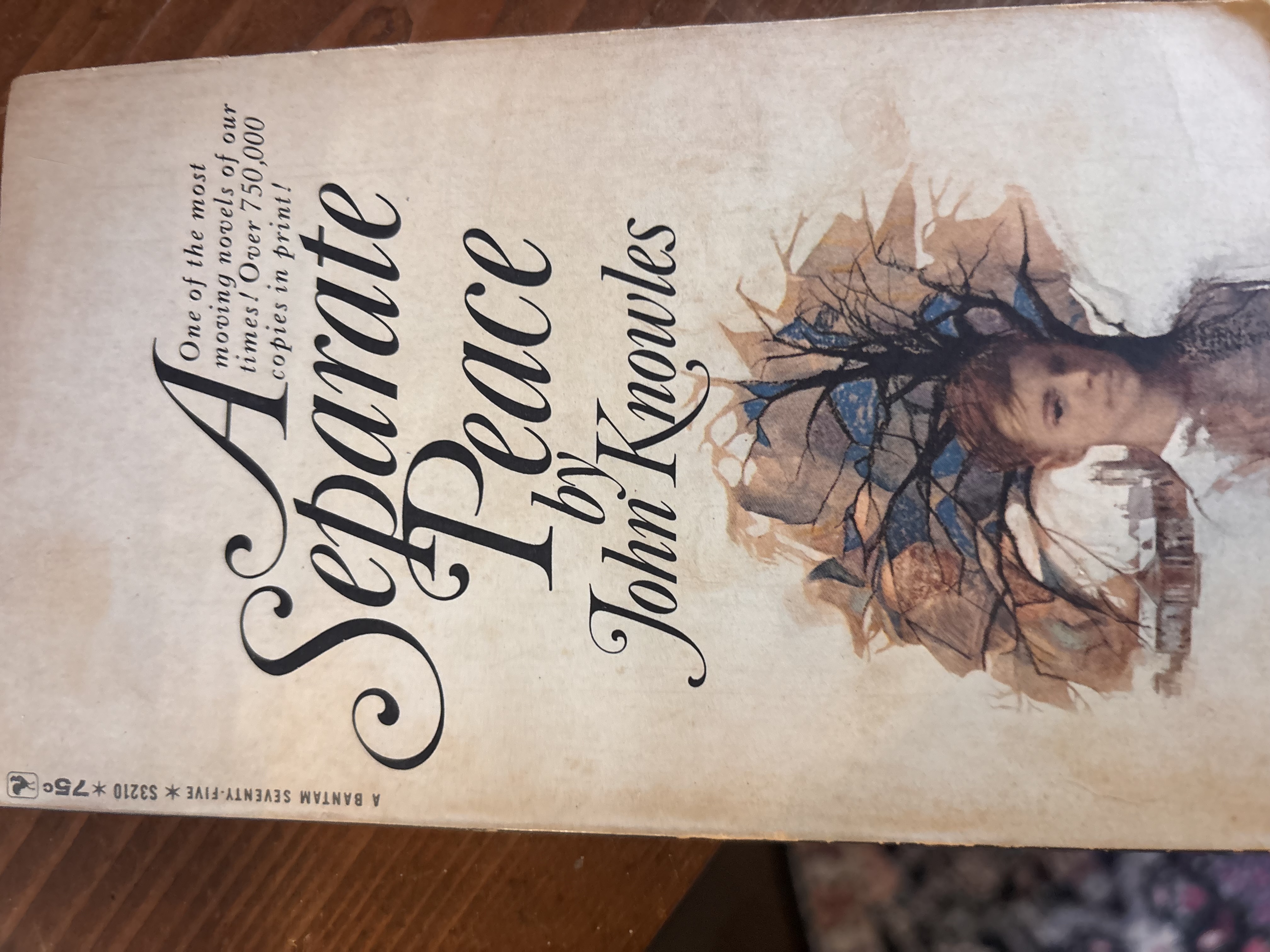 A Separate Peace by John Knowles