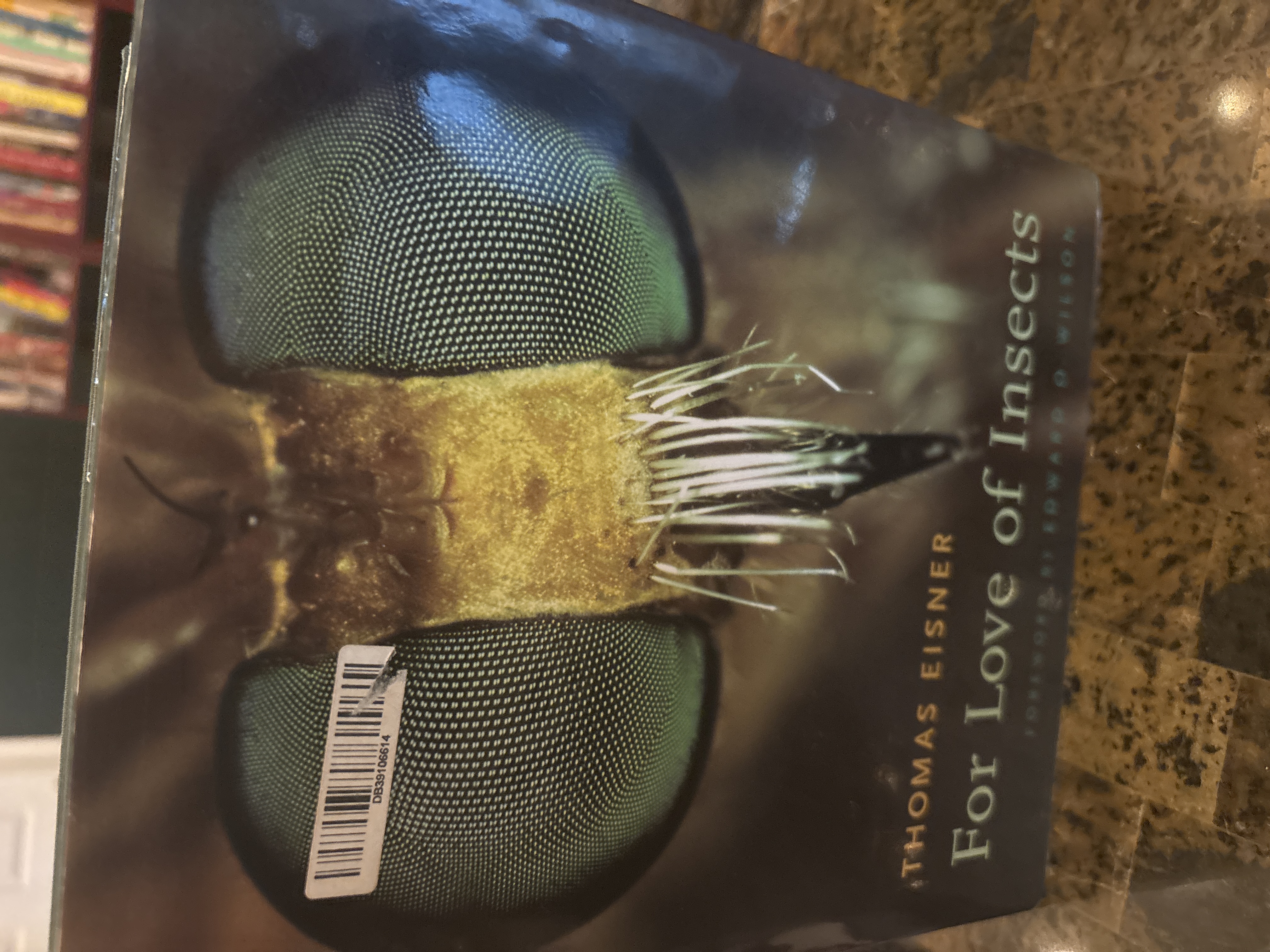 For Love of Insects by Thomas Eisner