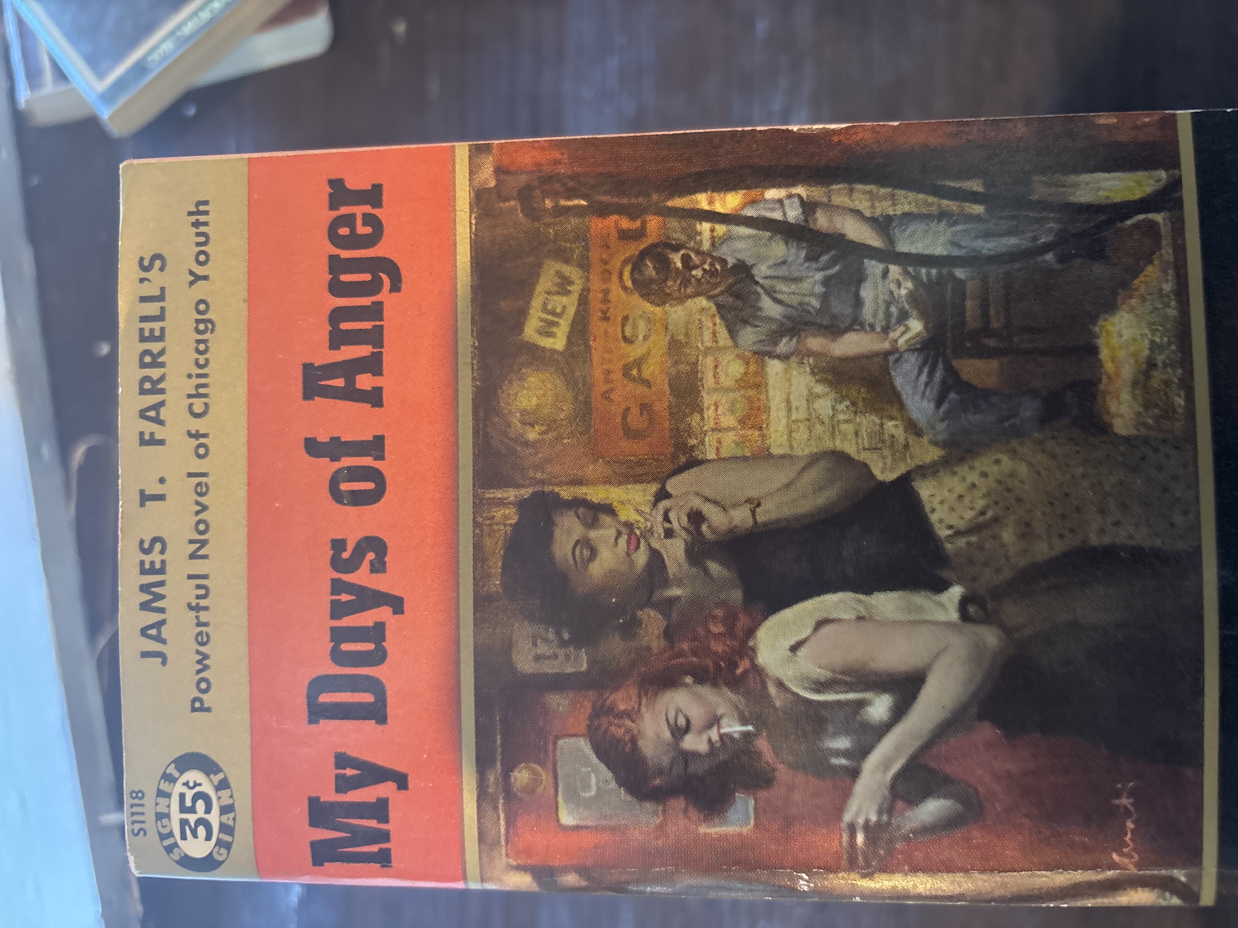 My Days of Anger by James T. Farrell