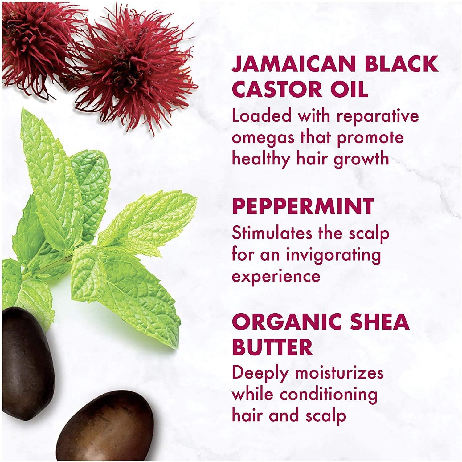 Jamaican Black Castor Oil Shampoo and Conditioner