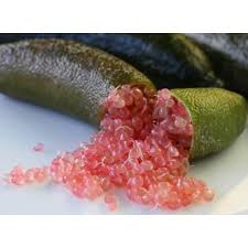Citronnier Caviar Rouge/Rose