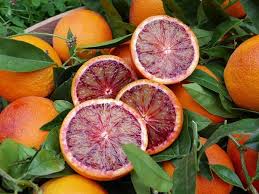 Oranger Sanguinelli