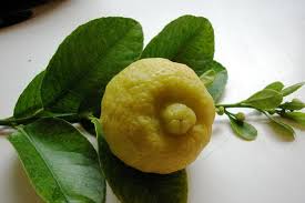 Citron de Palestine, Citron Doux
