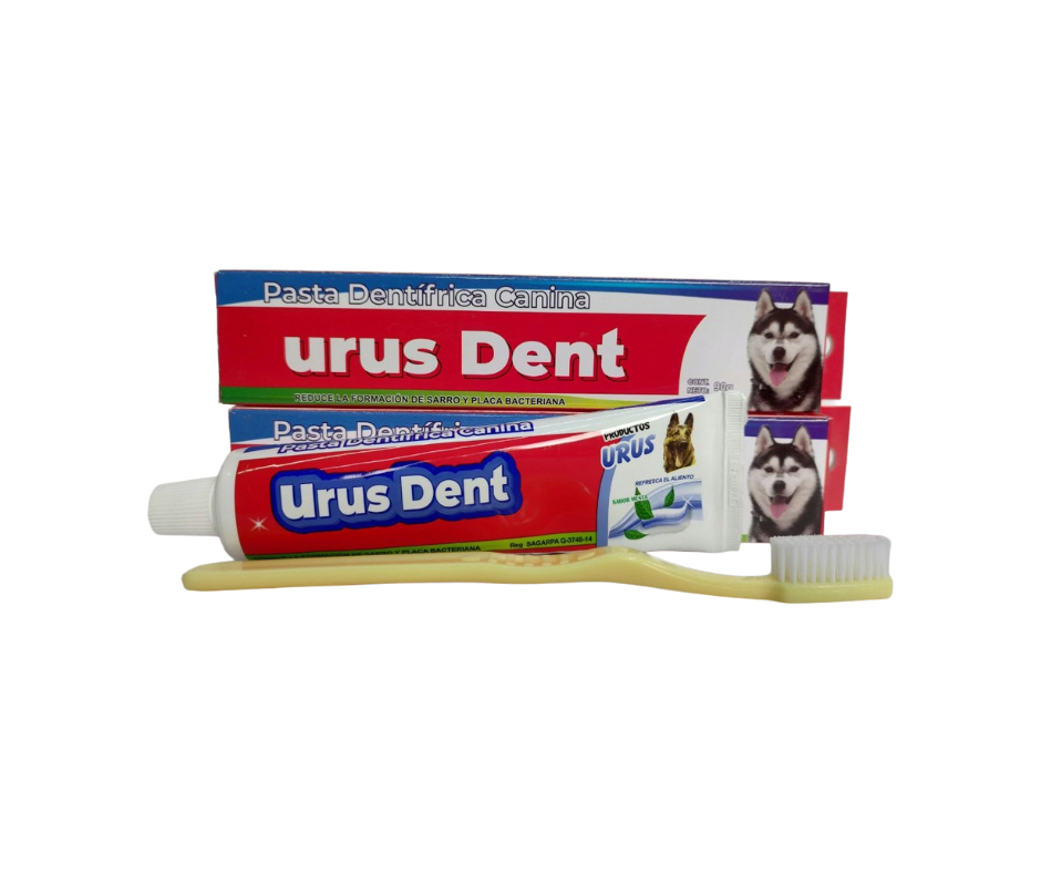 Urus Dent Pasta de Dientes 60 GR