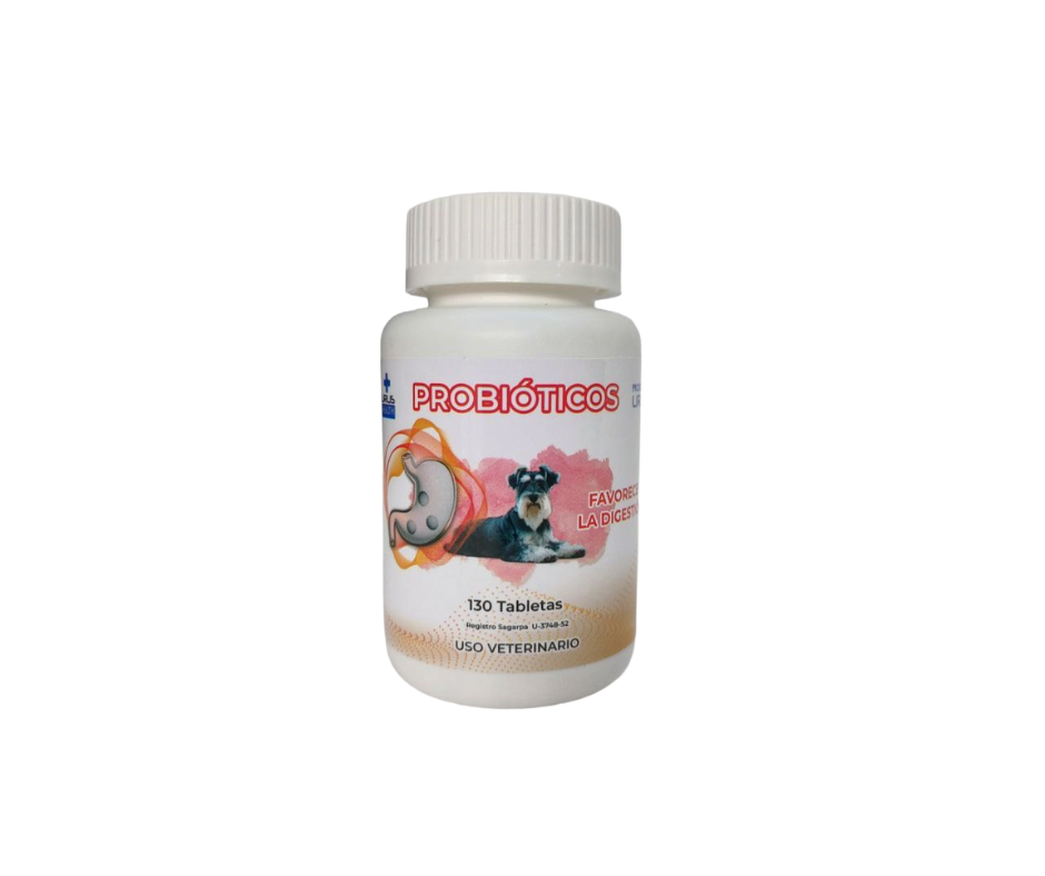 Probióticos para perros