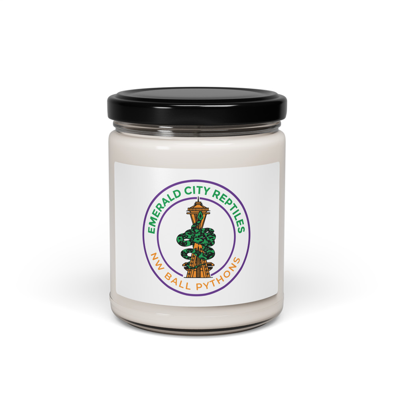 Scented soy candle