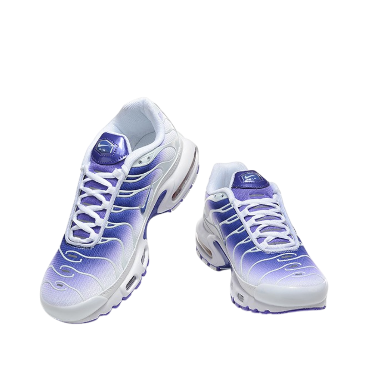 Nike Air Max TN Plus "Purple Dragon"