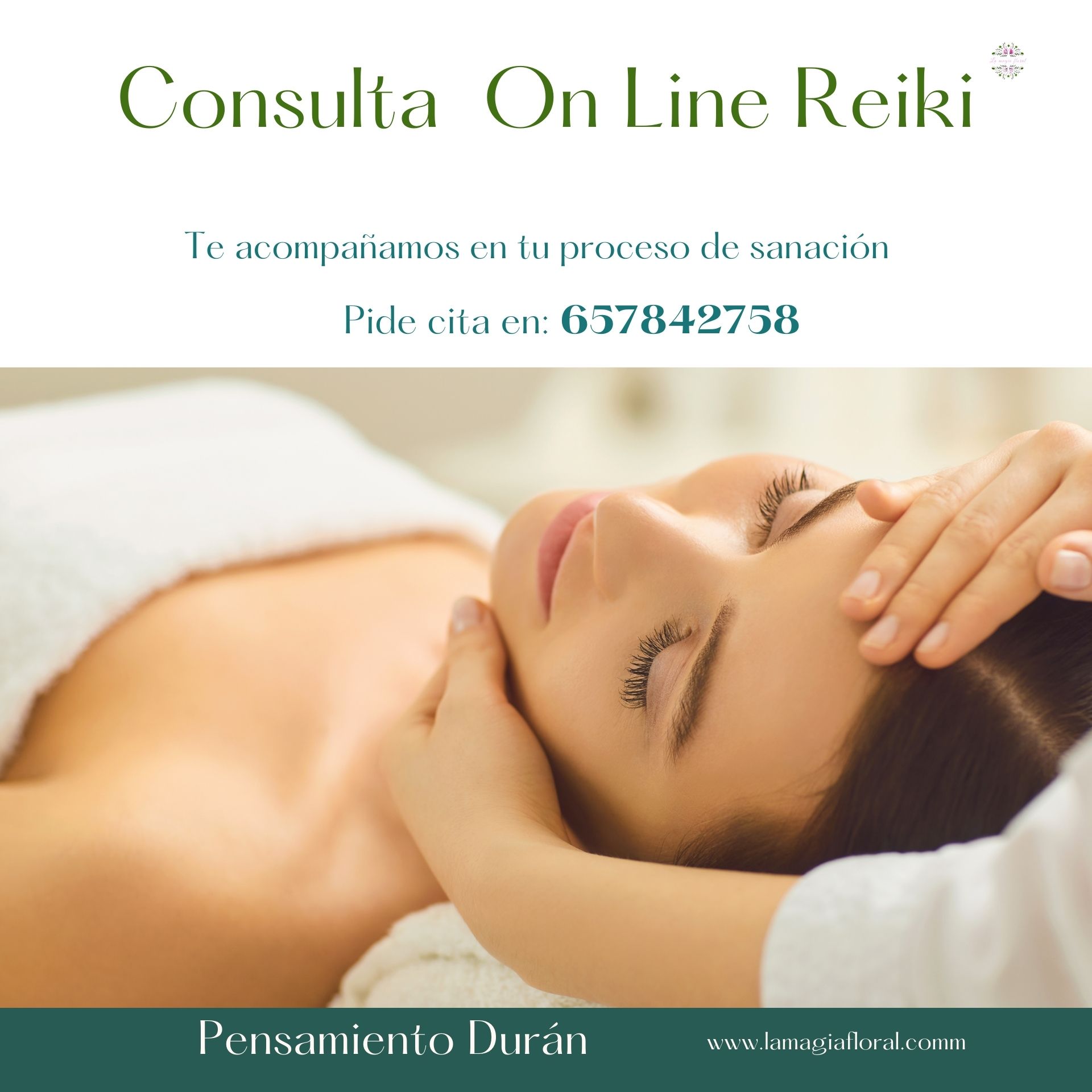 CONSULTAS ON LINE