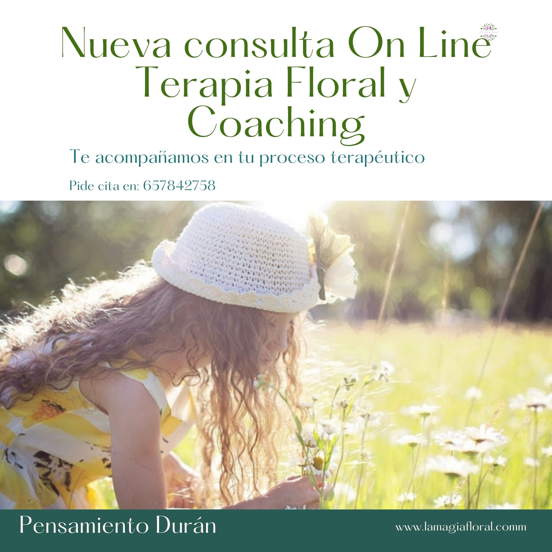 CONSULTA TERAPIA FLORAL Y COACHING