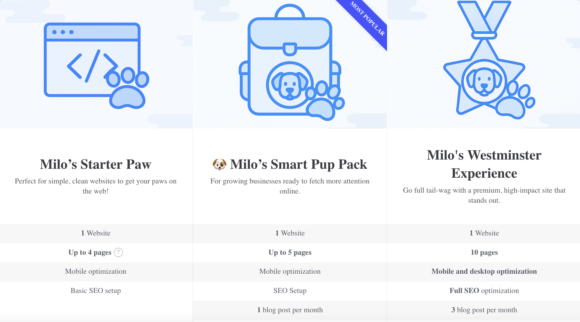 Website Design with Hosting