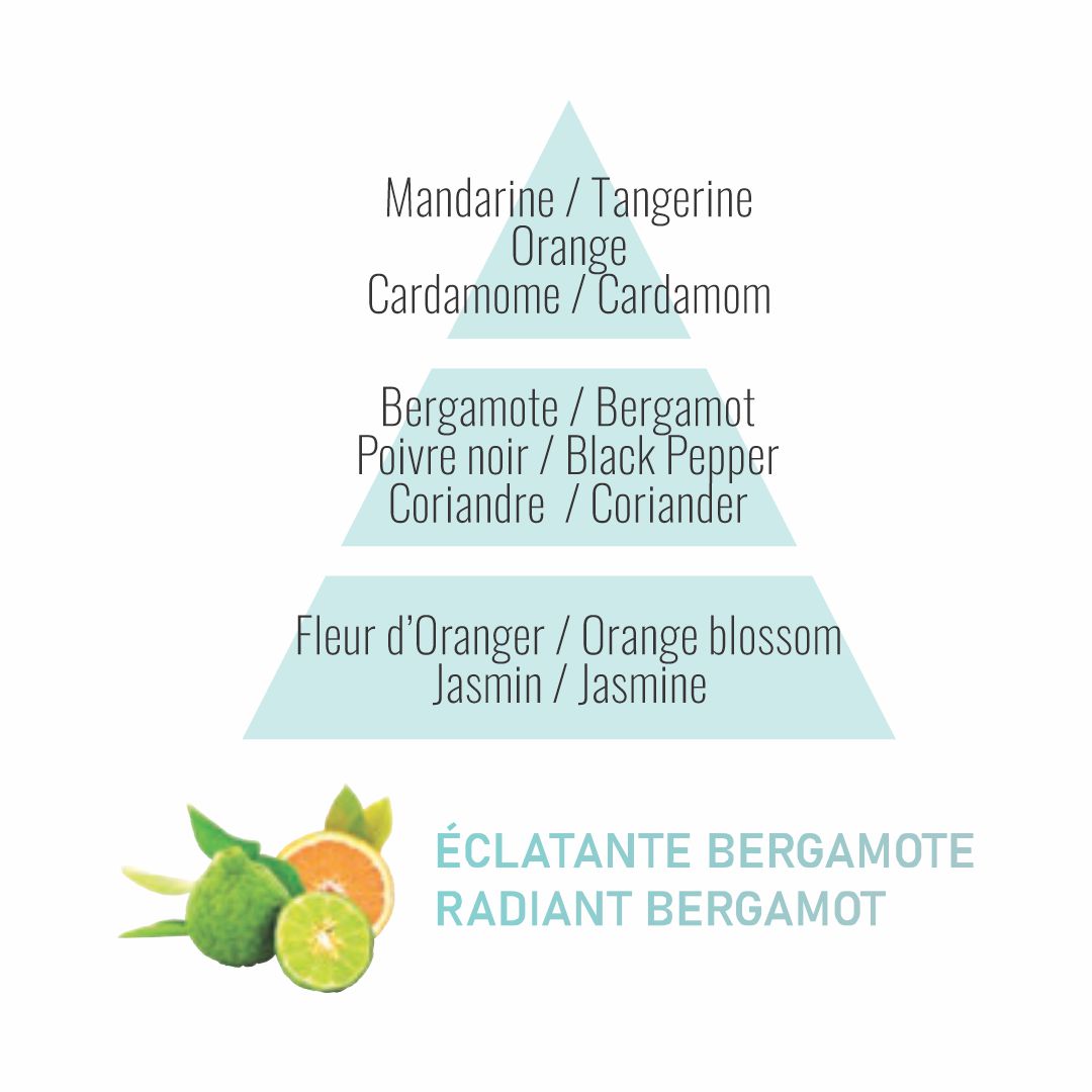 Liquido-recarga Lámpara Catalítica Maison Berger | Eclatante Bergamote | 500ml.