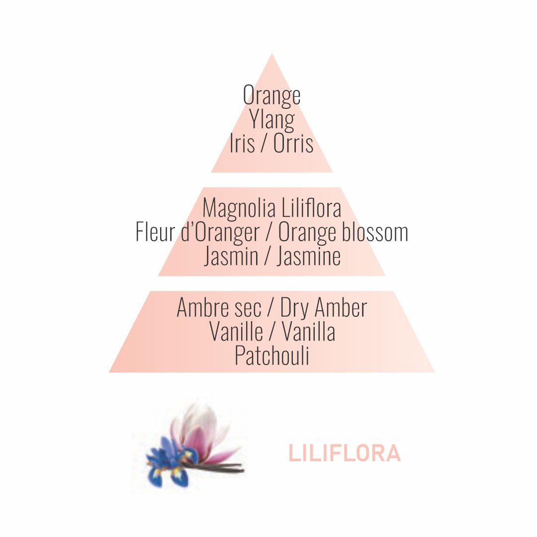 Ambientador para coche | Recarga x 2 | Aroma LILIFLORA | Maison Berger