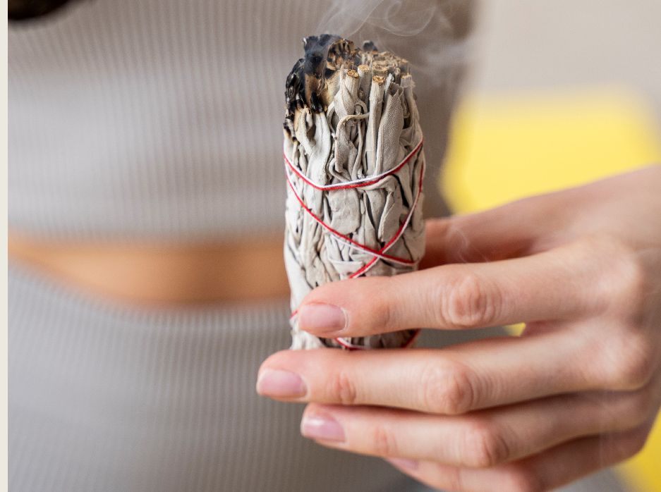 Salvia blanca Californiana