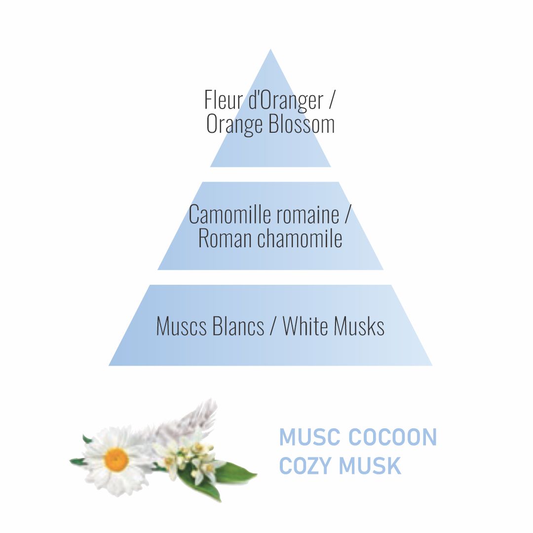 Liquido-recarga Lámpara Catalítica Maison Berger | Musc Cocoon | 1 litro.
