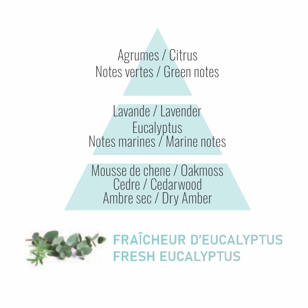 Liquido-recarga Lámpara Catalítica Maison Berger | Frescura de eucalyptus | 500ml.