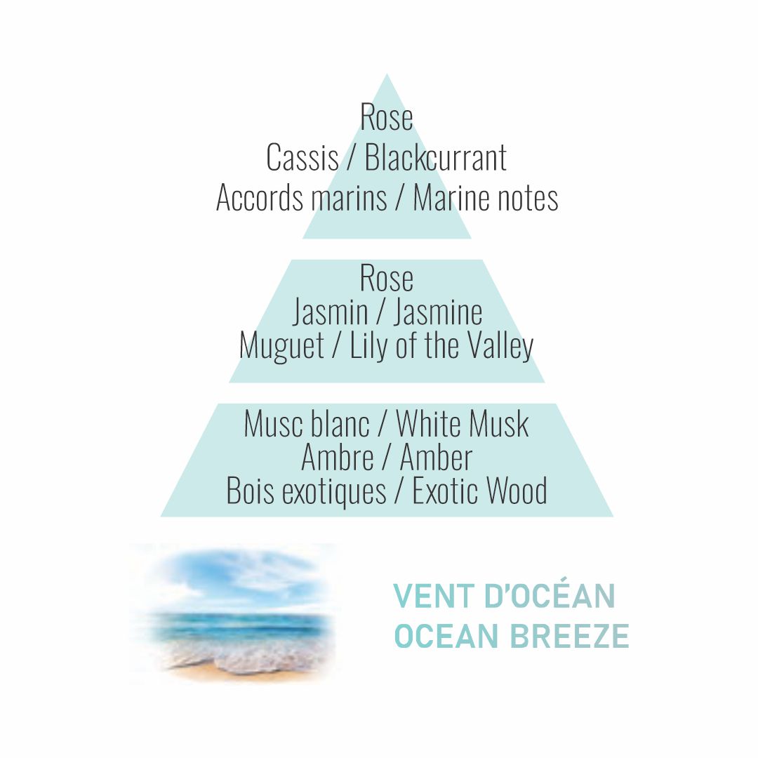Ambientador para coche | Aroma VIENTO DE OCÉANO | Maison Berger