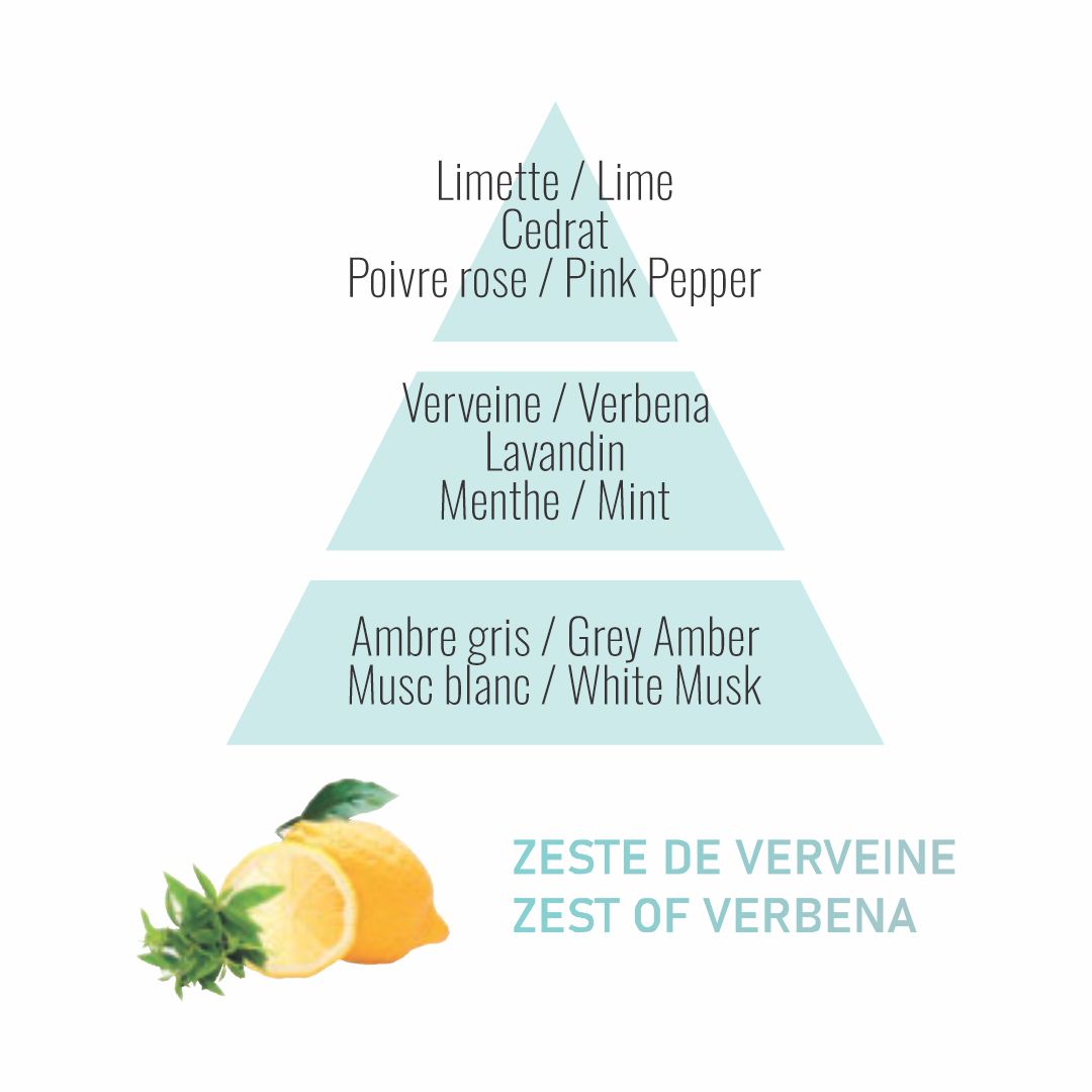 Liquido-recarga Lámpara Catalítica Maison Berger | Zeste de Verveine | 1 litro.