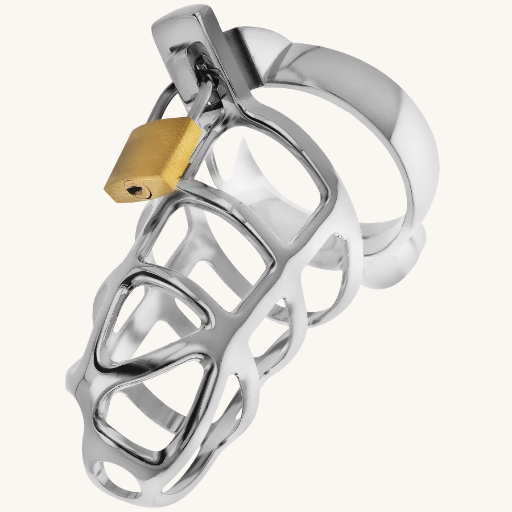 ADDICTED TOYS LOCKED - SILVER LOCK JAULA PARA PENE DE METAL TALLA M
