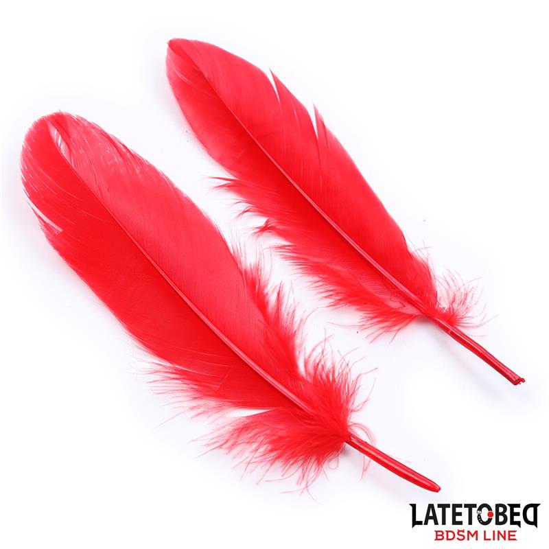 LATETOBED BDSM LINE SET DE 3 PIEZAS ANTIFAZ, PLUMAS Y ESPOSAS