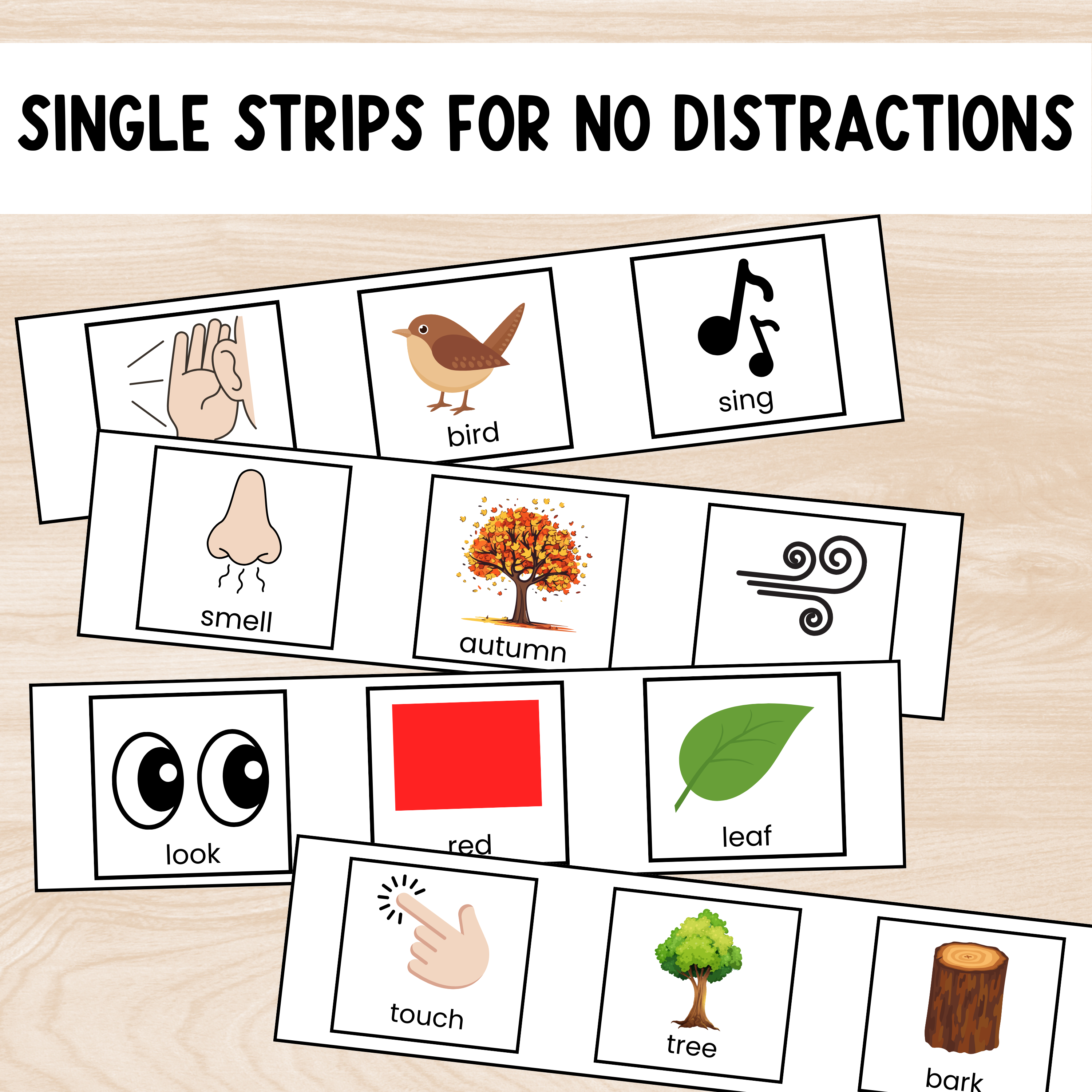 Autumn Sensory Scavenger Hunt with Visual Support