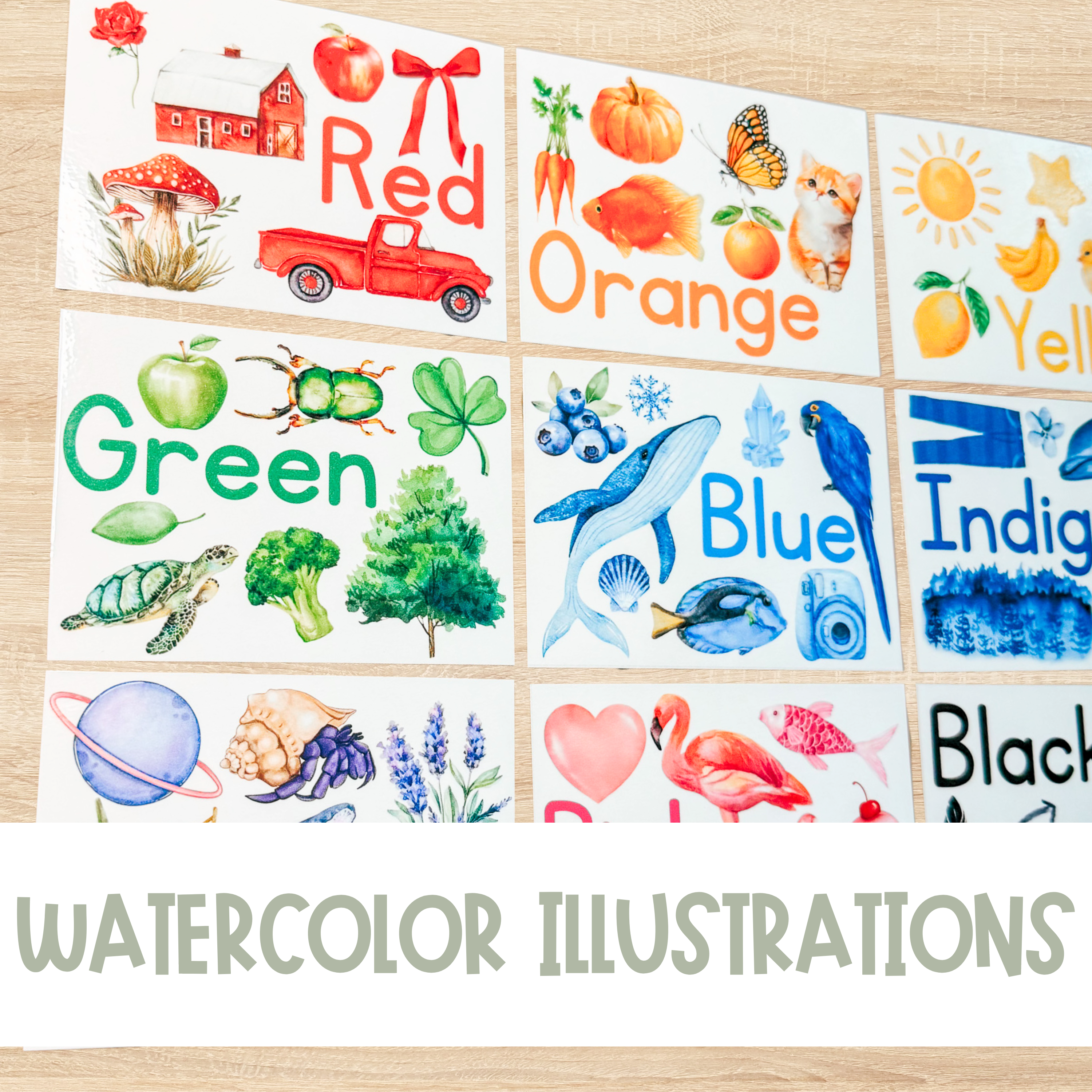Large Learning Color Recognition Flash Cards with Pictures