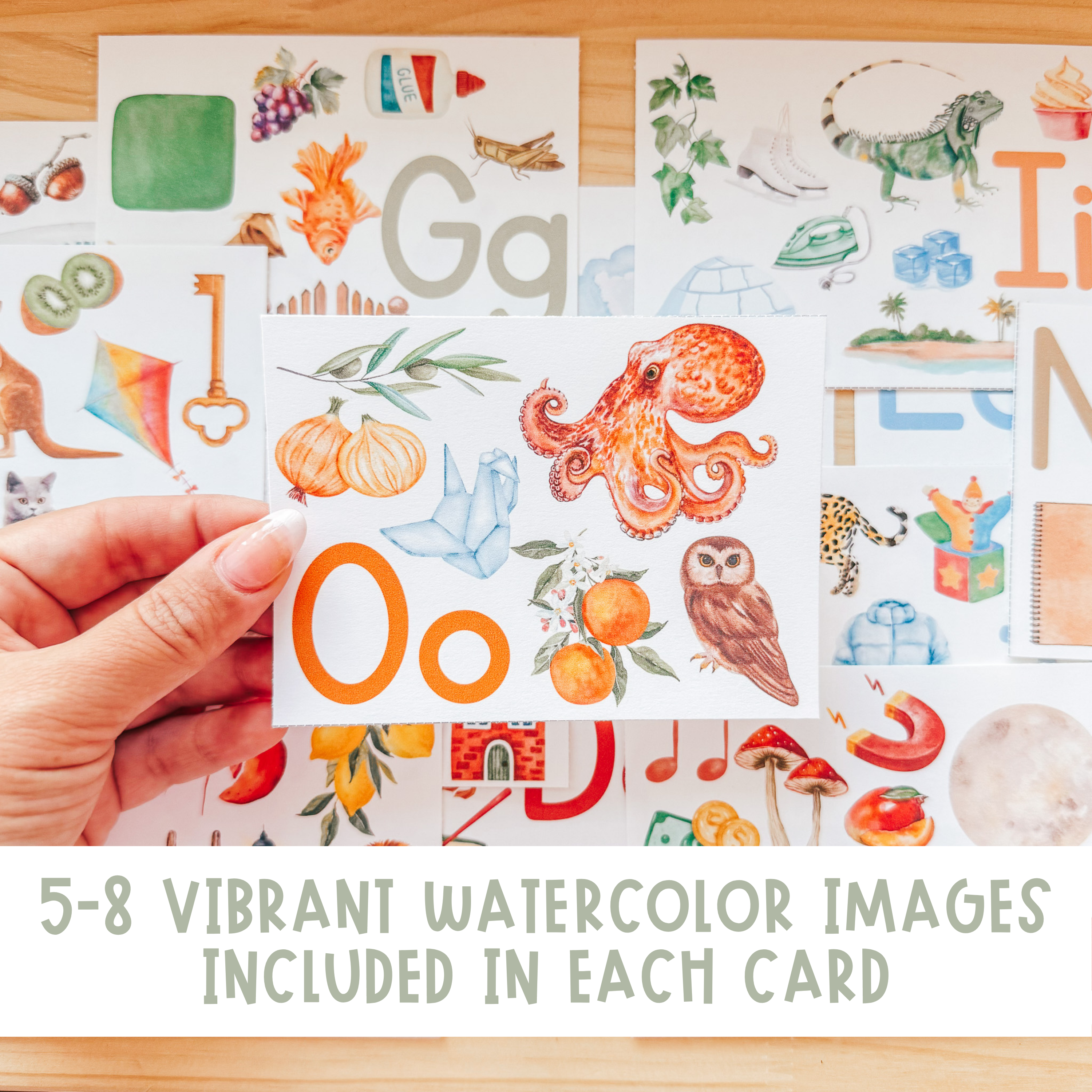 Large Alphabet Cards with Pictures, Montessori flashcards, Pre-School Letter Recognition, Educational