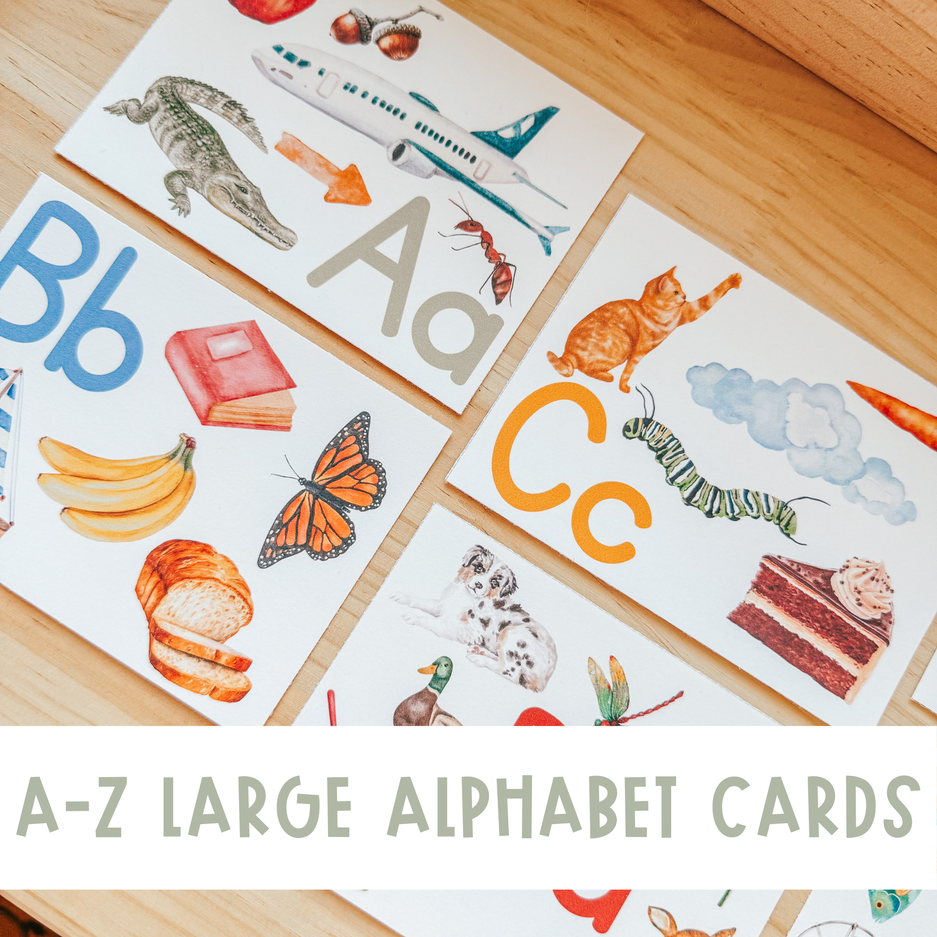 Large Alphabet Cards with Pictures, Montessori flashcards, Pre-School Letter Recognition- DIGITAL