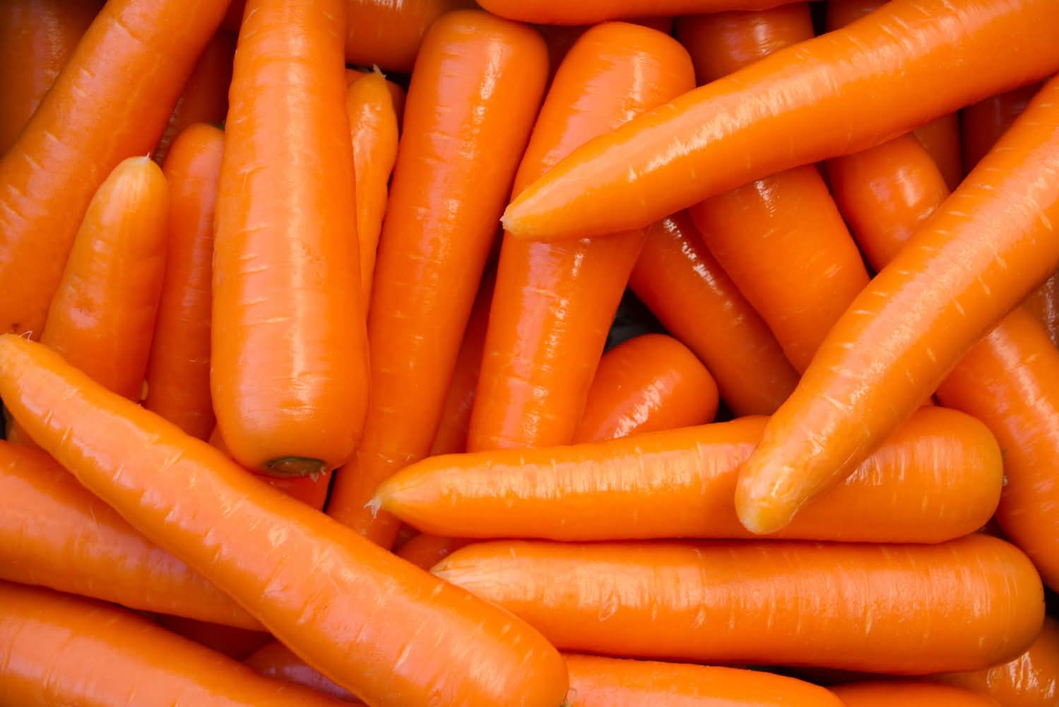 Premium Carrot 250g