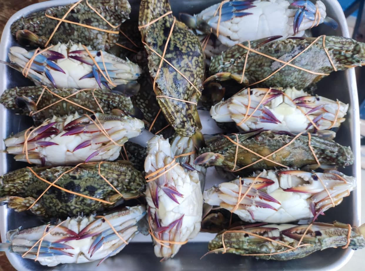 Crabs 500g (2-3 quantity per 500g)