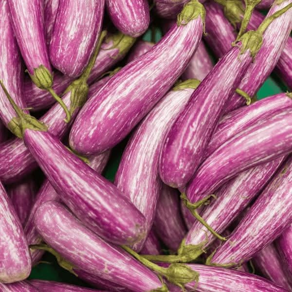 Premium Quality Brinjals 250g