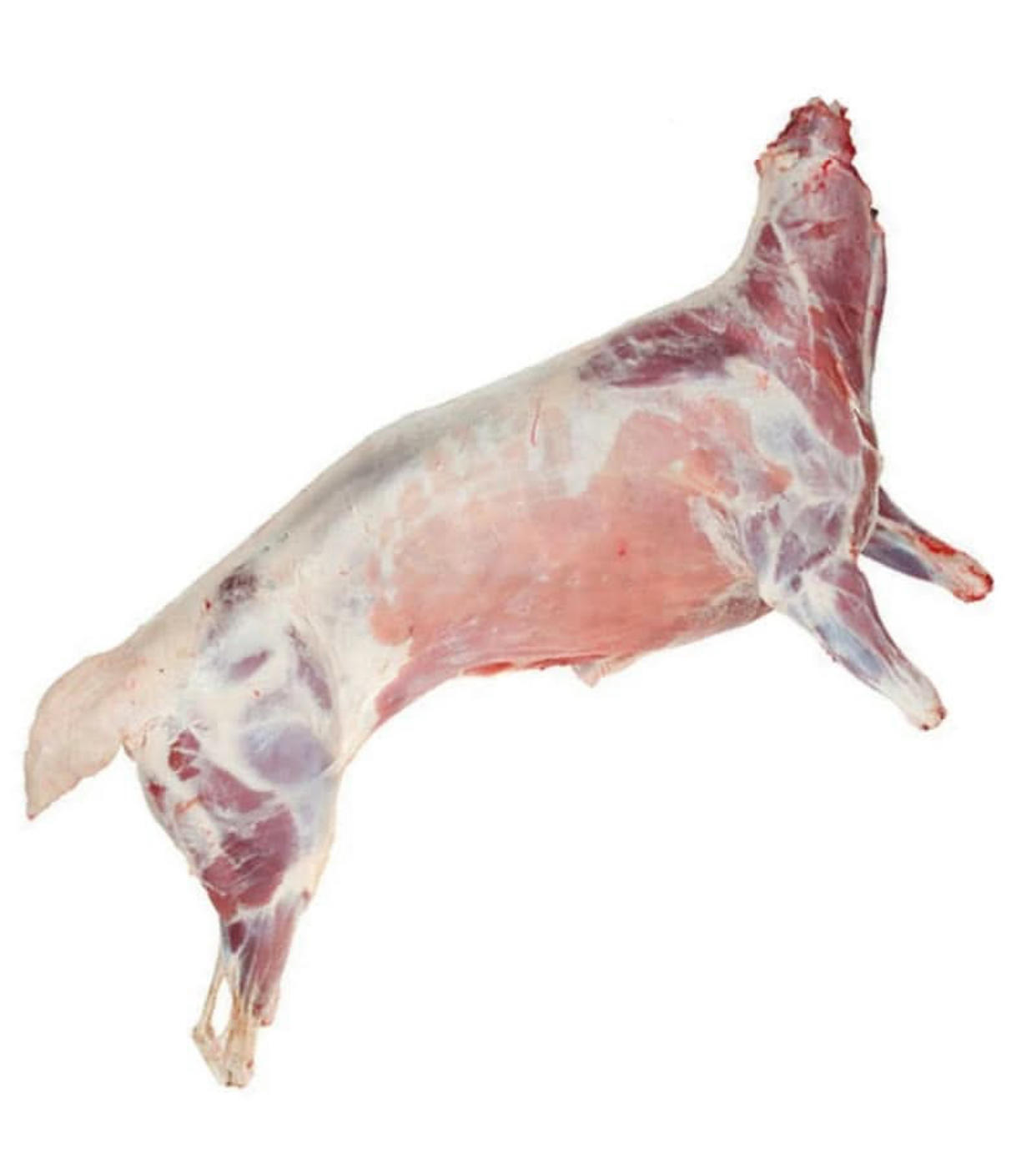 Niyath / Qurbaan Whole Goat Cooked with Rice (10–15kg) – Fresh Halal Slaughtered Upon Request