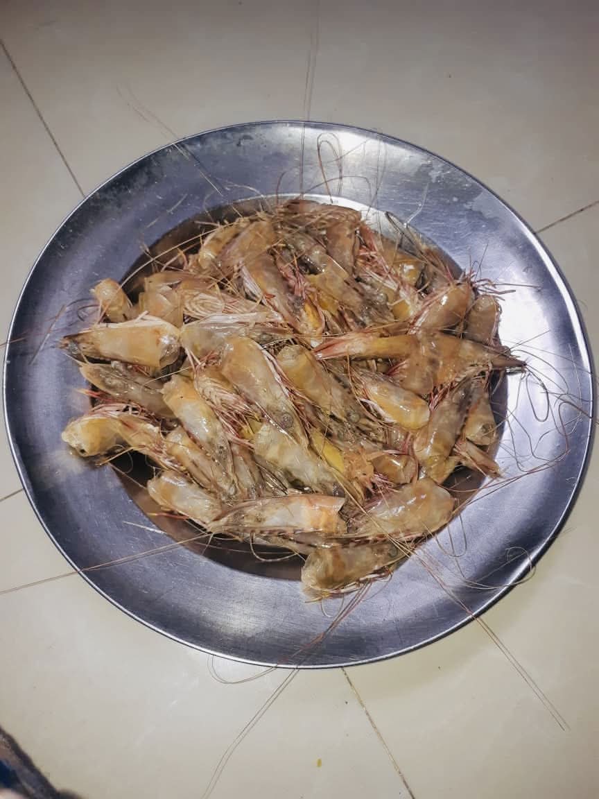 Fresh Prawn Heads / Shrimp Heads – 300g