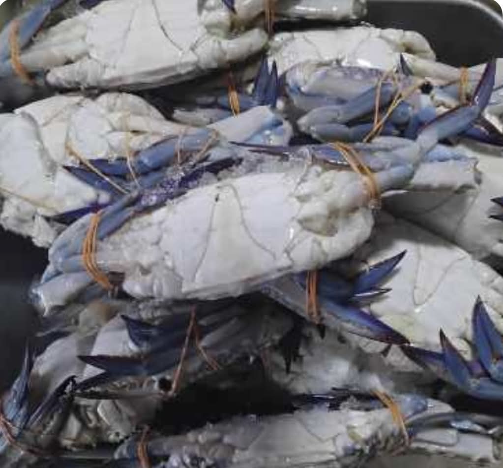 Crabs 500g (2-3 quantity per 500g)