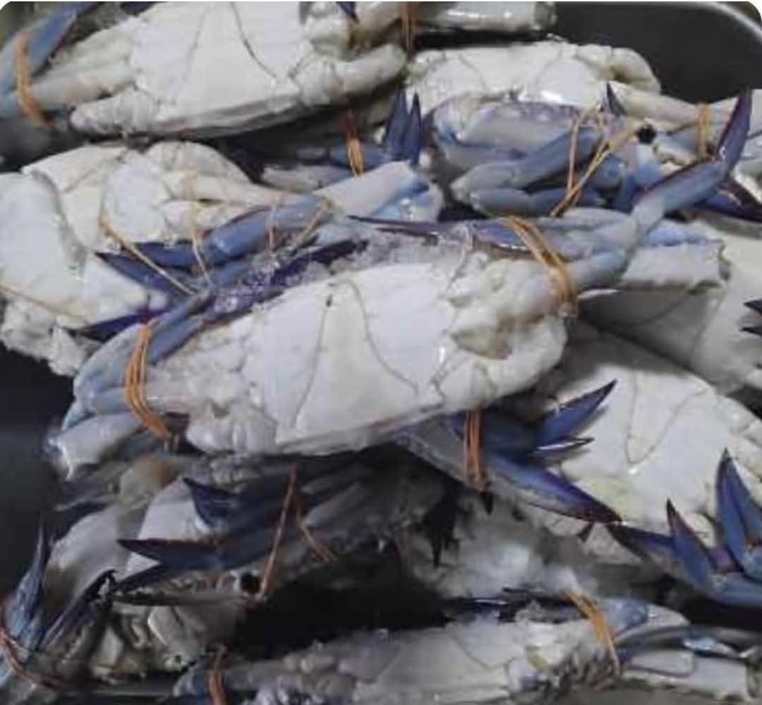 Fresh Ocean Crabs – 500g (2–3 Pieces)
