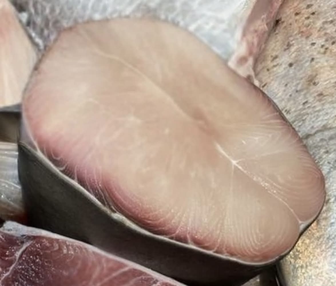 Shark Premium Middle Cut – 250g