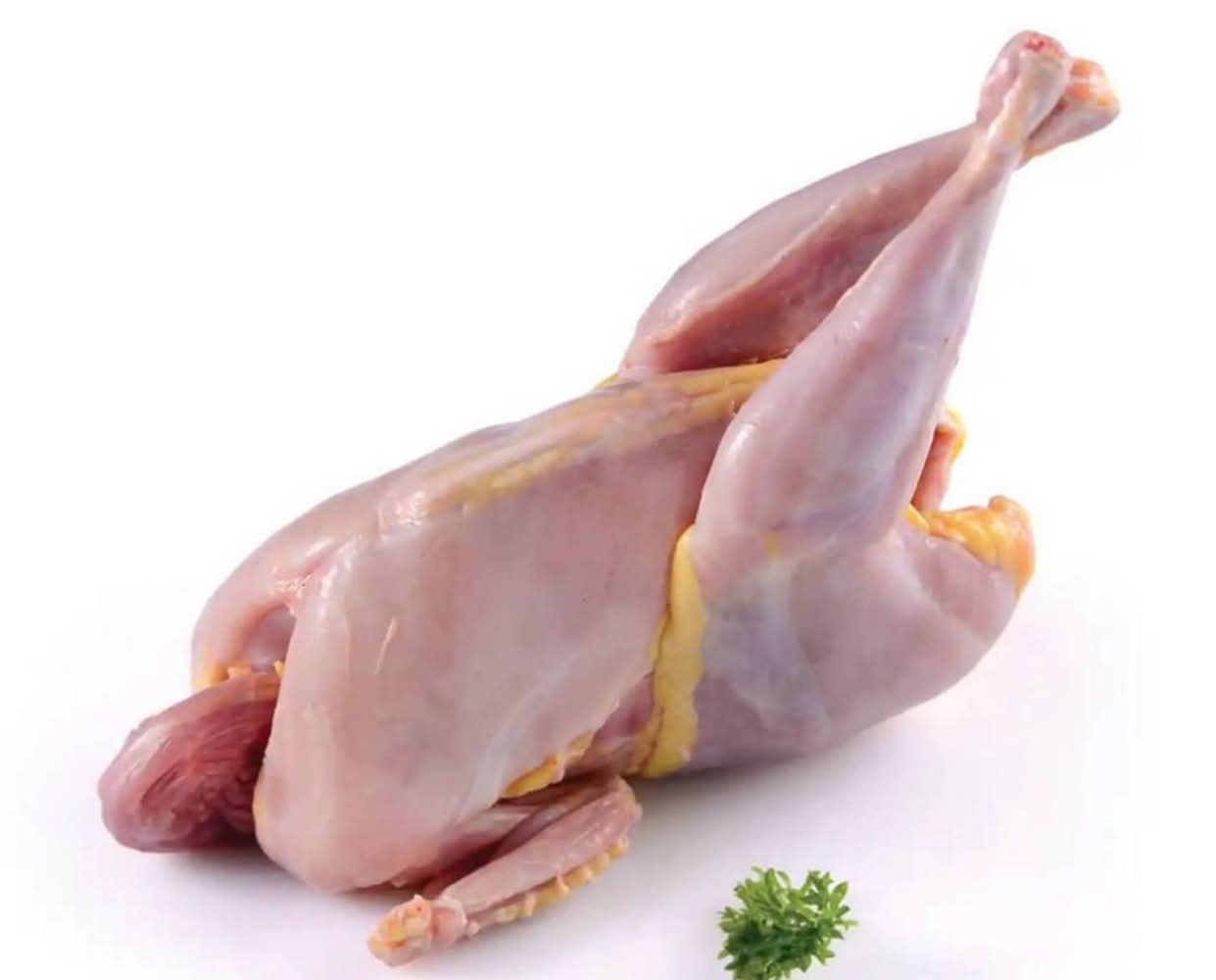 Curry chicken Fresh Daily Slaughtered 1kg curry cut