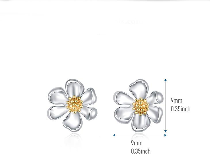 Flower Shaped Silver Earrings