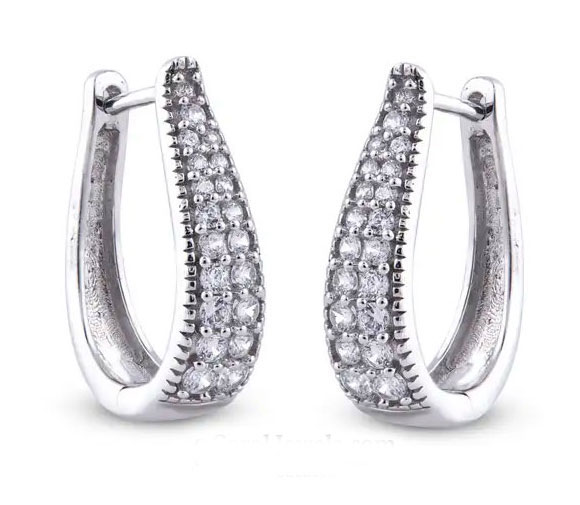 Elegant Silver Hoop Earrings
