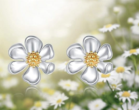 Flower Shaped Silver Earrings